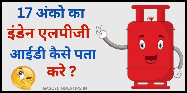 find 17 digit lpg id